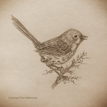 Load image into Gallery viewer, Illustration Workshops - Adults