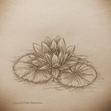 Load image into Gallery viewer, Illustration Workshops - Adults