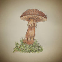 Load image into Gallery viewer, Illustration Workshops - Adults