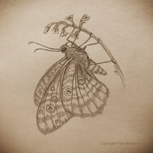 Load image into Gallery viewer, Illustration Workshops - Adults