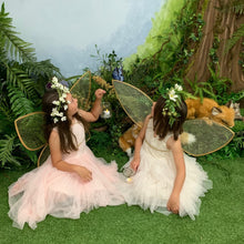 Load image into Gallery viewer, Teacup Sparrow Family Forest Experience