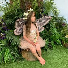 Load image into Gallery viewer, Teacup Sparrow Family Forest Experience