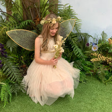 Load image into Gallery viewer, Teacup Sparrow Family Forest Experience