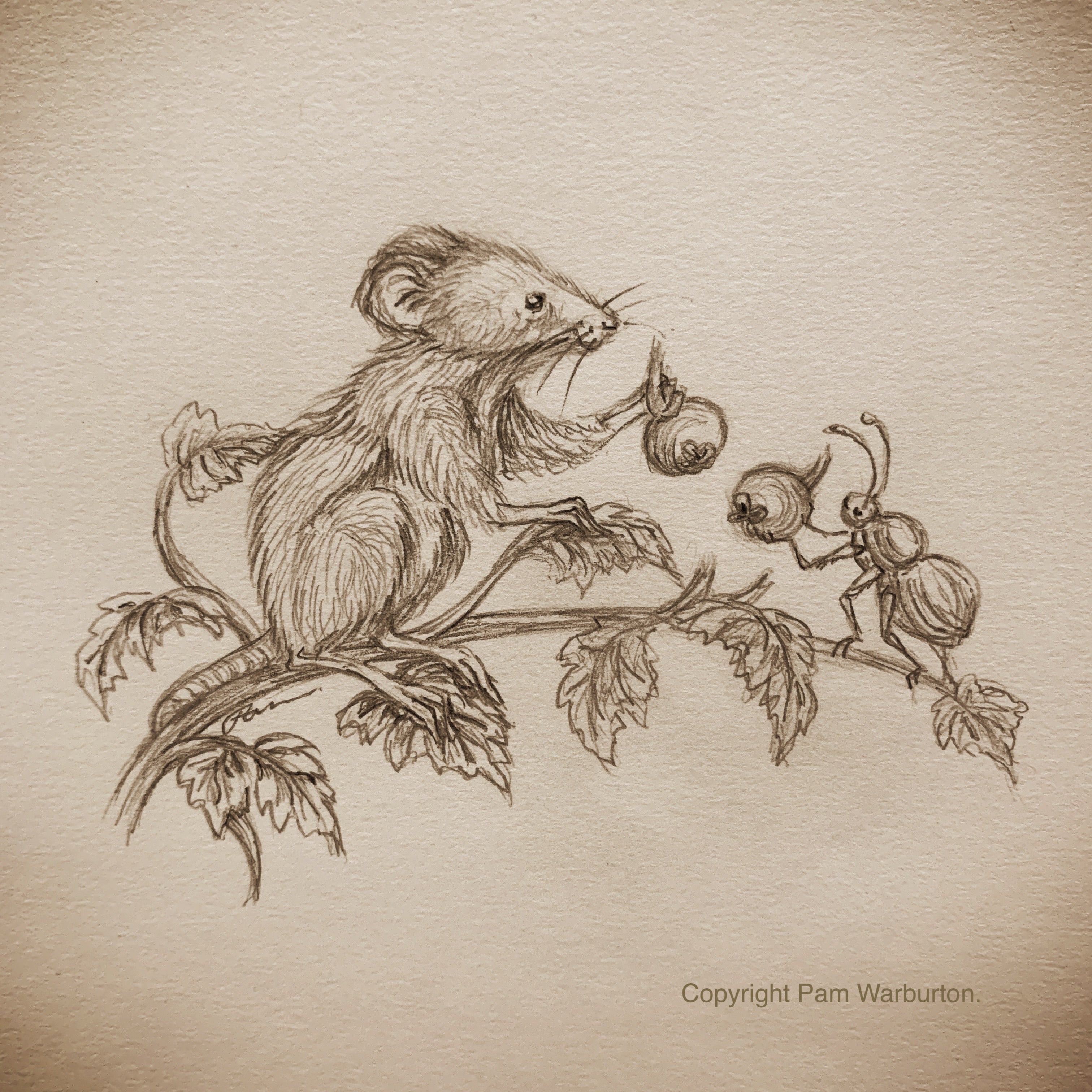 Illustration Workshops - Adults